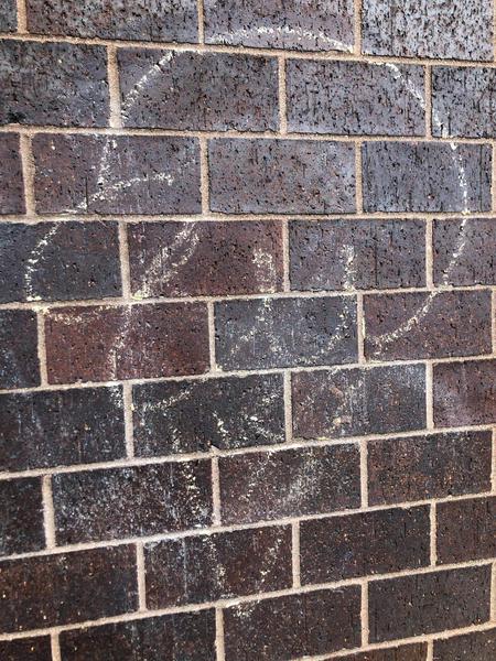 It’s-a-Me, Mario! I Found-a Coin in Joel Osteen’s Walls!