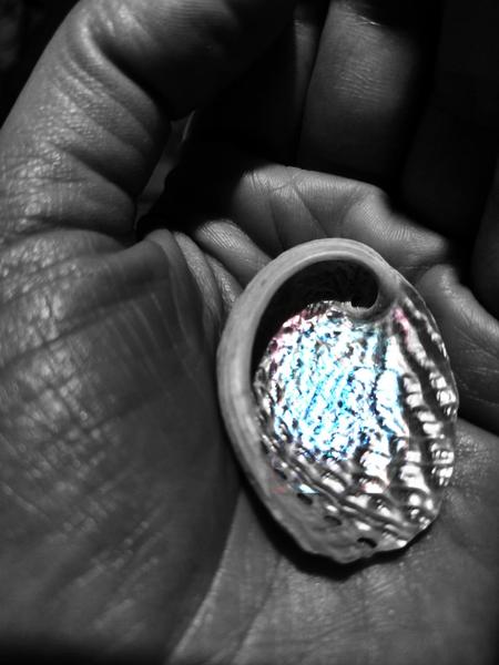 Good Grief, Florida Man