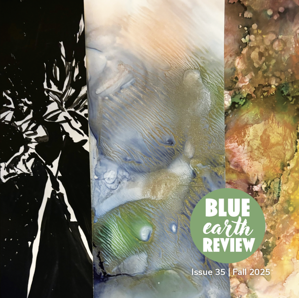 Alligators Don’t Blink